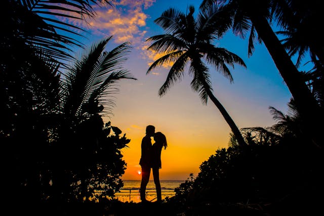 Haya Dunes Tours u0026 Travels Honeymoon Package 